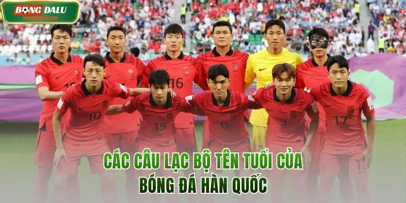Các câu lạc bộ tên tuổi của bóng đá Hàn Quốc