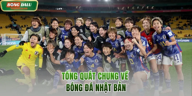 Tổng quát chung về bóng đá Nhật Bản